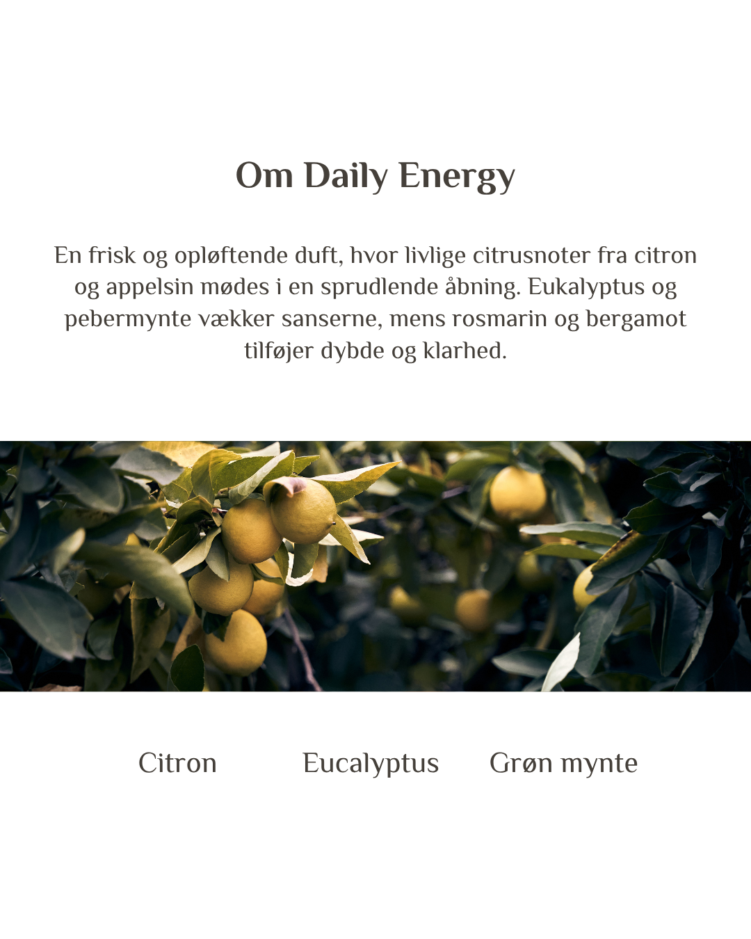 Daily Energy