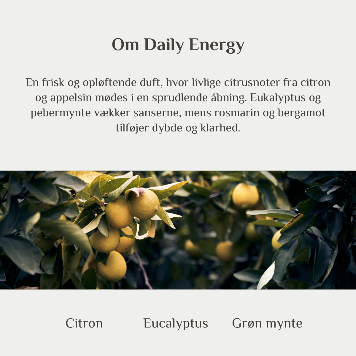Æteriske olie sæt - Completely energized