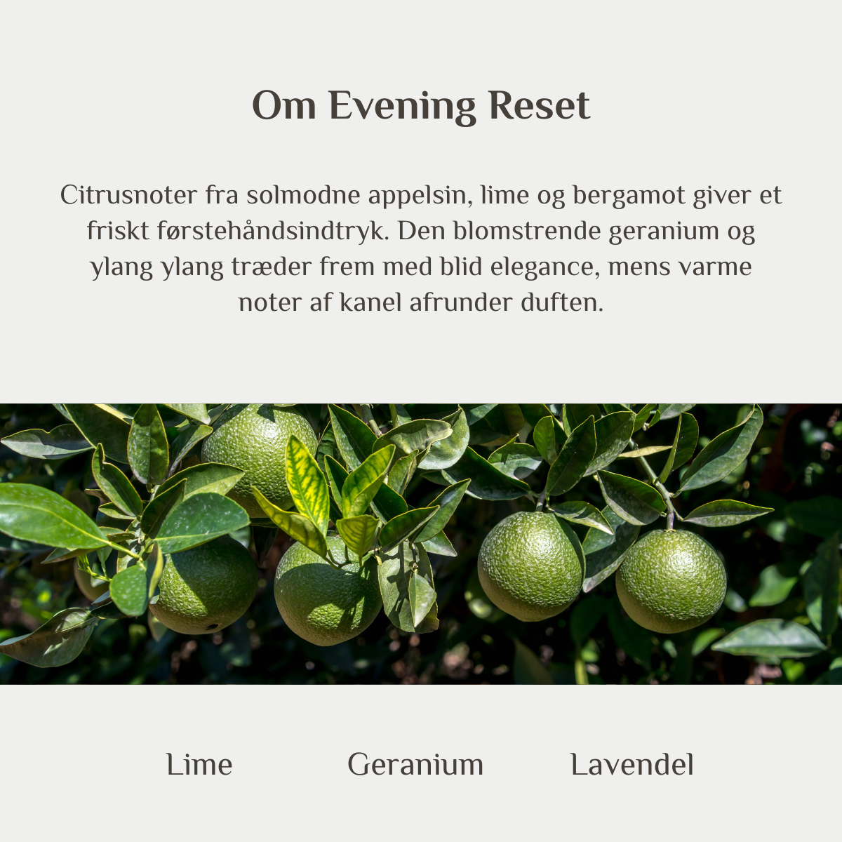 Æterisk olie - Evening Reset - 10 ml