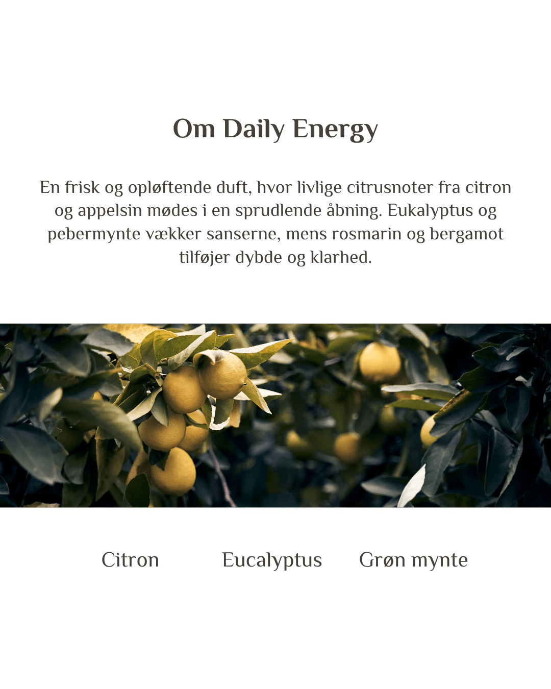 Byg et sæt - Zenffuser