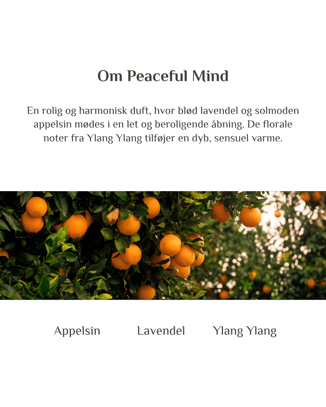 Byg et sæt - Zenffuser