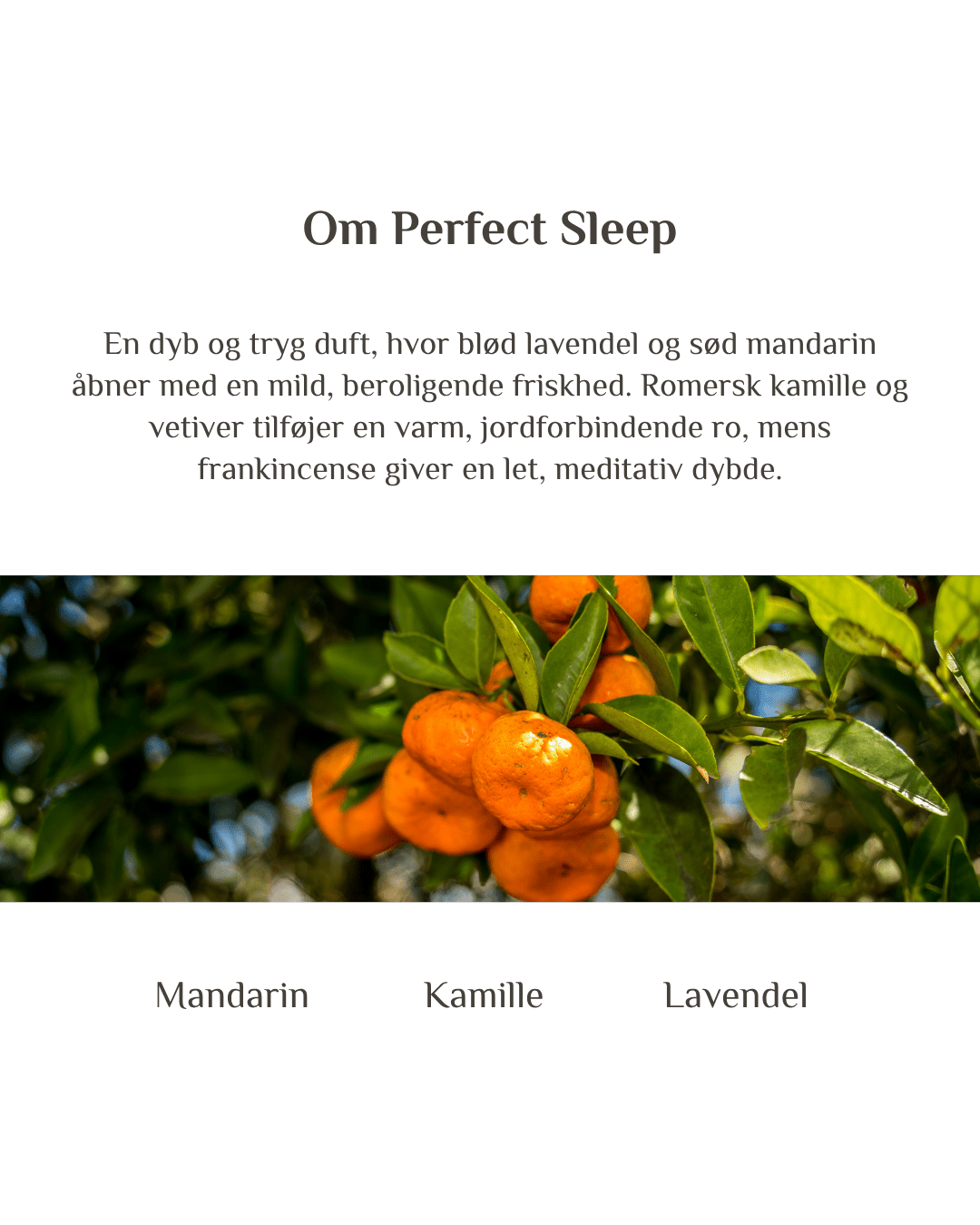 Byg et sæt - Zenffuser