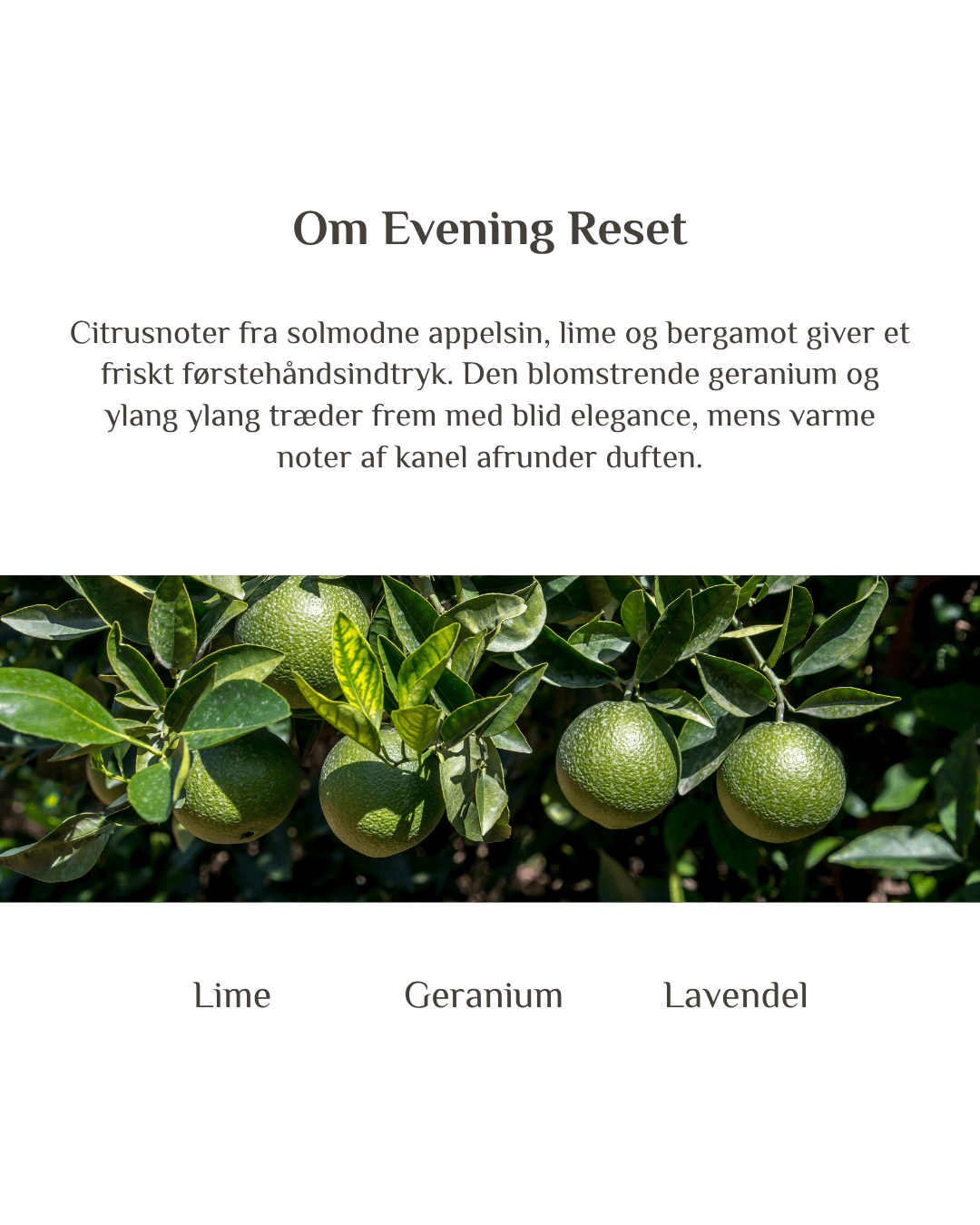 Byg et sæt - Zenffuser