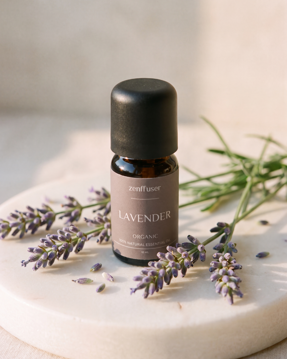 Økologisk Lavendel